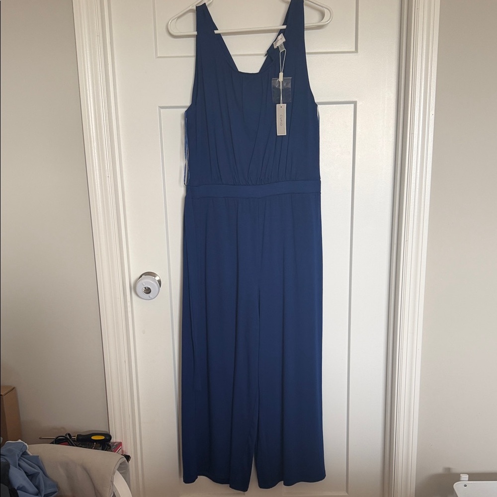 Cupio Sleeveless Wide-Leg Jumpsuit in Deep Blue